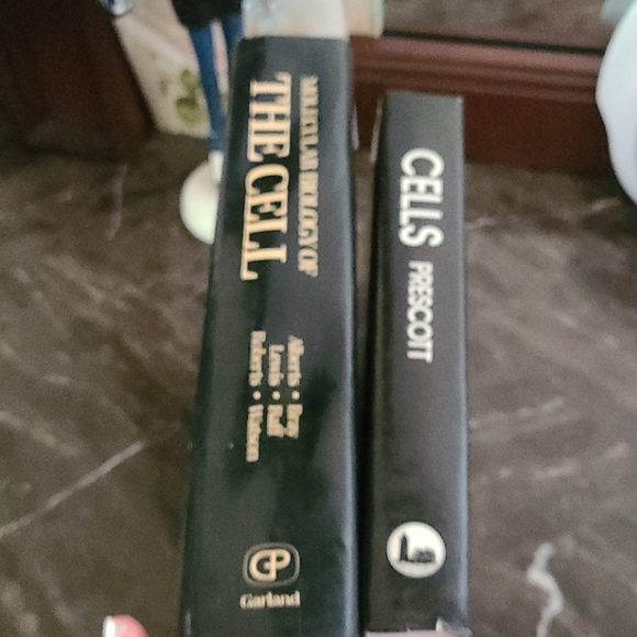 CELLS & MOLECULAR BUOLOGY OF THE CELL - Picture 7 of 15